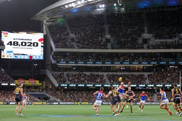 Demons charge to the top after nailing the ‘Adelaide double’; Strife for Pickett over high hit
